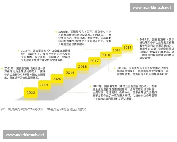 以风险管理为核心推动企业稳健发展与治理能力提升研究路径与实践